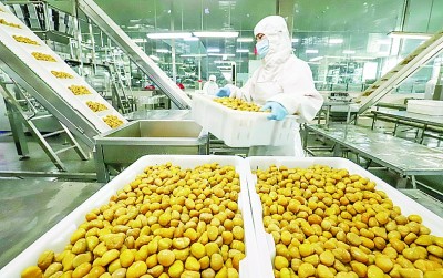 “拓展對外貿易，培育貿易新業態新模式”