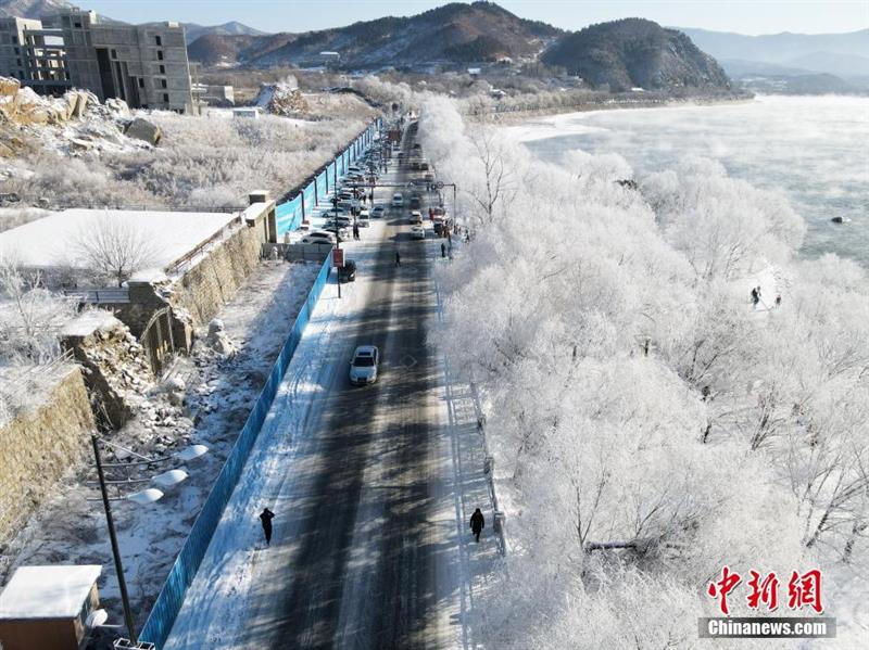 航拍松花江岸霧凇：玉樹瓊枝猶若仙境