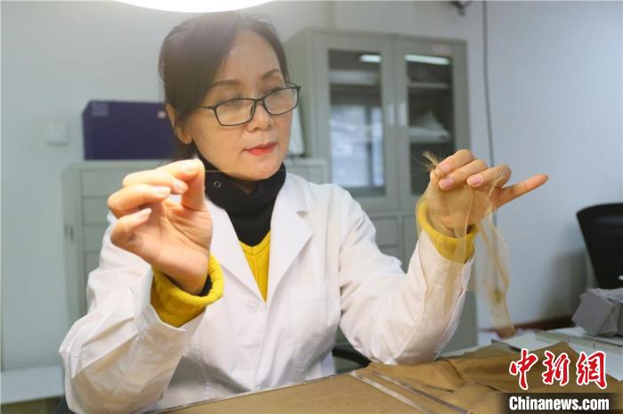 據(jù)趙喜梅介紹，修復(fù)文物紡織品所用的縐絲紗比頭發(fā)絲還細(xì)。　高展 攝