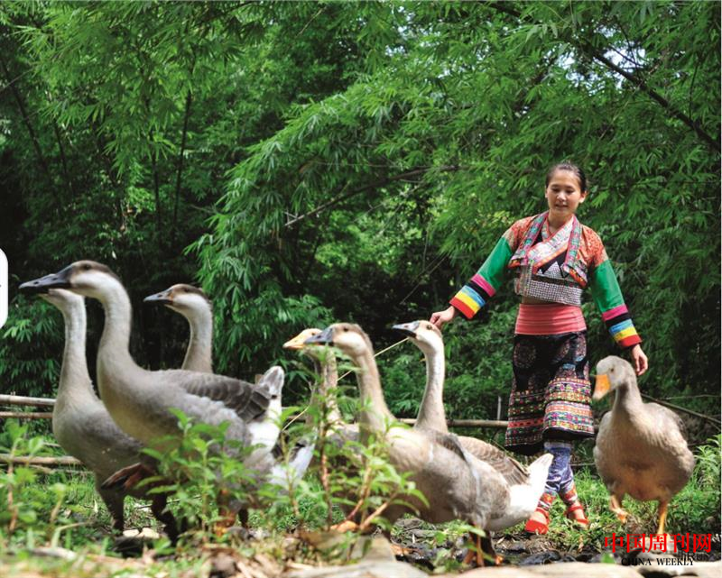 微信截圖_20220113143318.png
