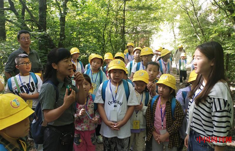 北溝自然體驗(yàn)基地開(kāi)展自然讓教育活動(dòng)馬宇拍攝.jpg