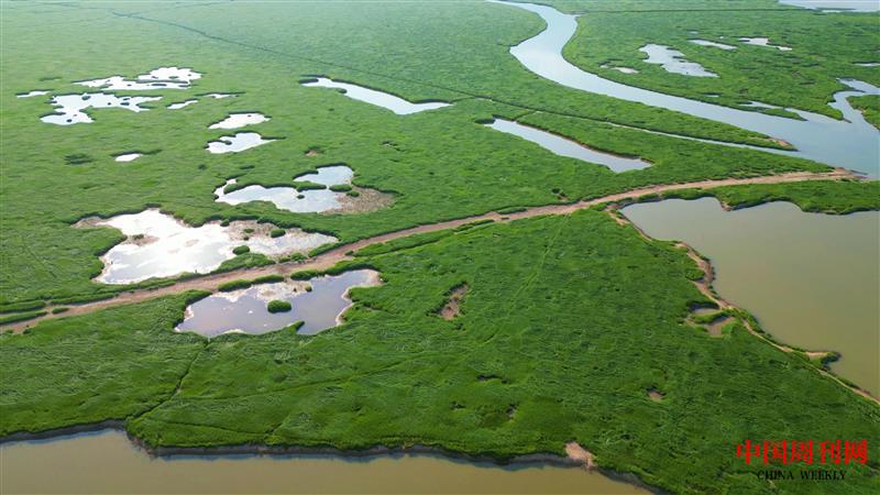 鄱陽湖濕地鳥瞰.jpg
