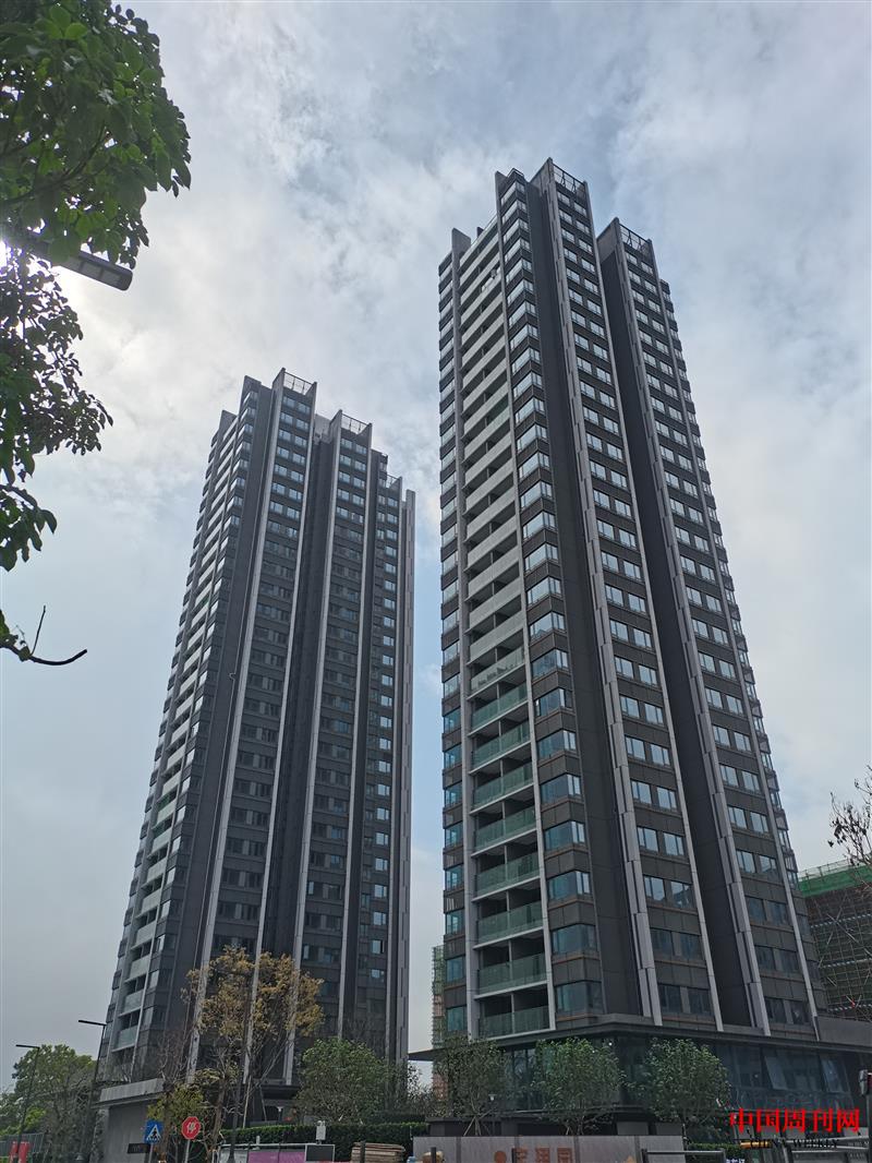 石巖祝龍田寶珺園.jpg