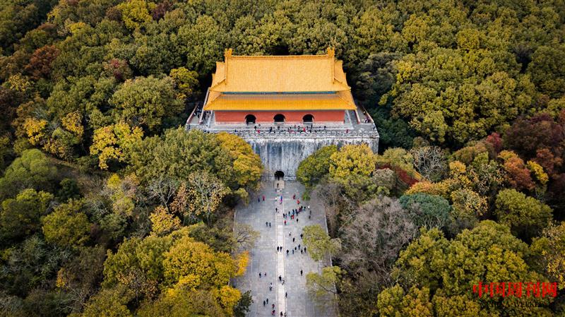攝圖網_500744754_航拍南京明孝陵秋色(企業商用).jpg