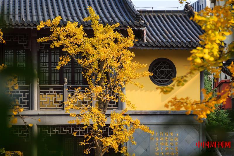 攝圖網_500744836_南京毗盧寺(企業商用).jpg