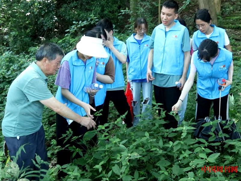 17圖為藥農向實踐團成員介紹中草藥的功效以及用法，加深對中草藥知識的了解。.png
